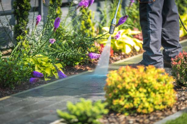 Versailles, IN Pressure Washing Services Company